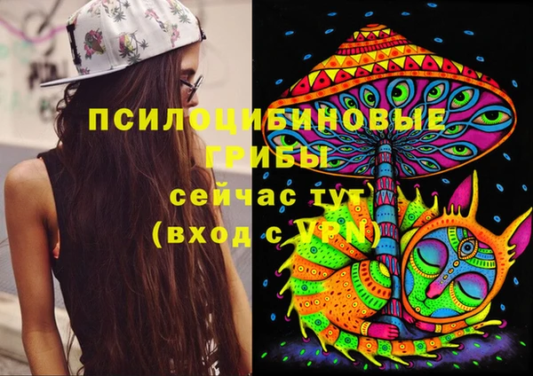 марки nbome Нязепетровск