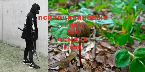 марки nbome Нязепетровск