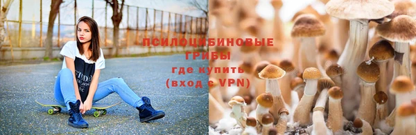 гидропоника Новозыбков