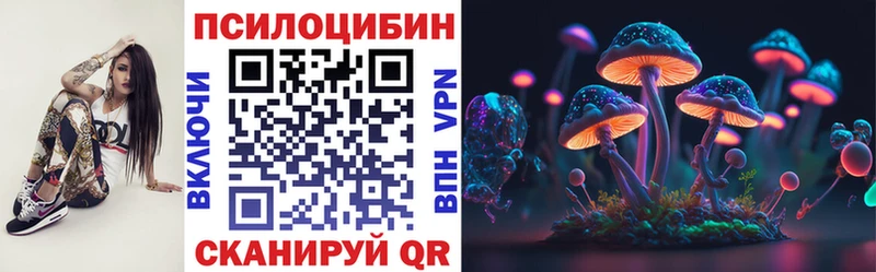 что такое наркотик  Никольское  Псилоцибиновые грибы MAGIC MUSHROOMS 